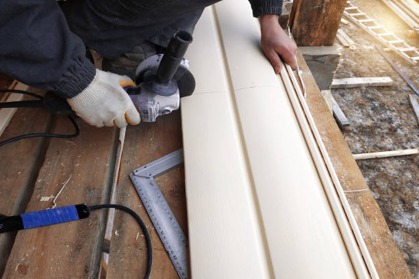 Best Vinyl Siding Installation  in Alva, FL